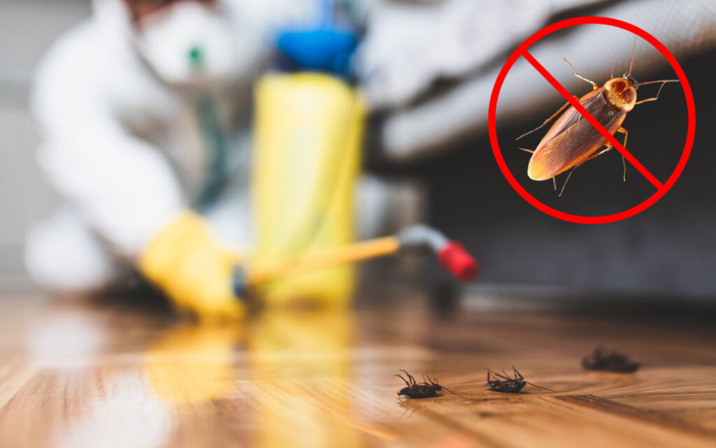 pest control services in chennai